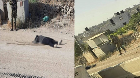 İsrail Müslüman bir kadını daha öldürdü