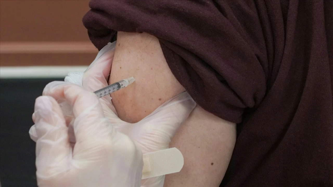 �stanbul'da 2024'te 110 bin ki�i kuduz riskli nedeniyle hastanelere ba�vurdu