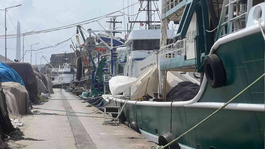 İstanbul'da balıkçıların palamut beklentisi