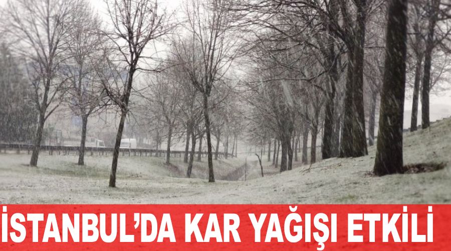 İstanbul'da kar yağışı etkili