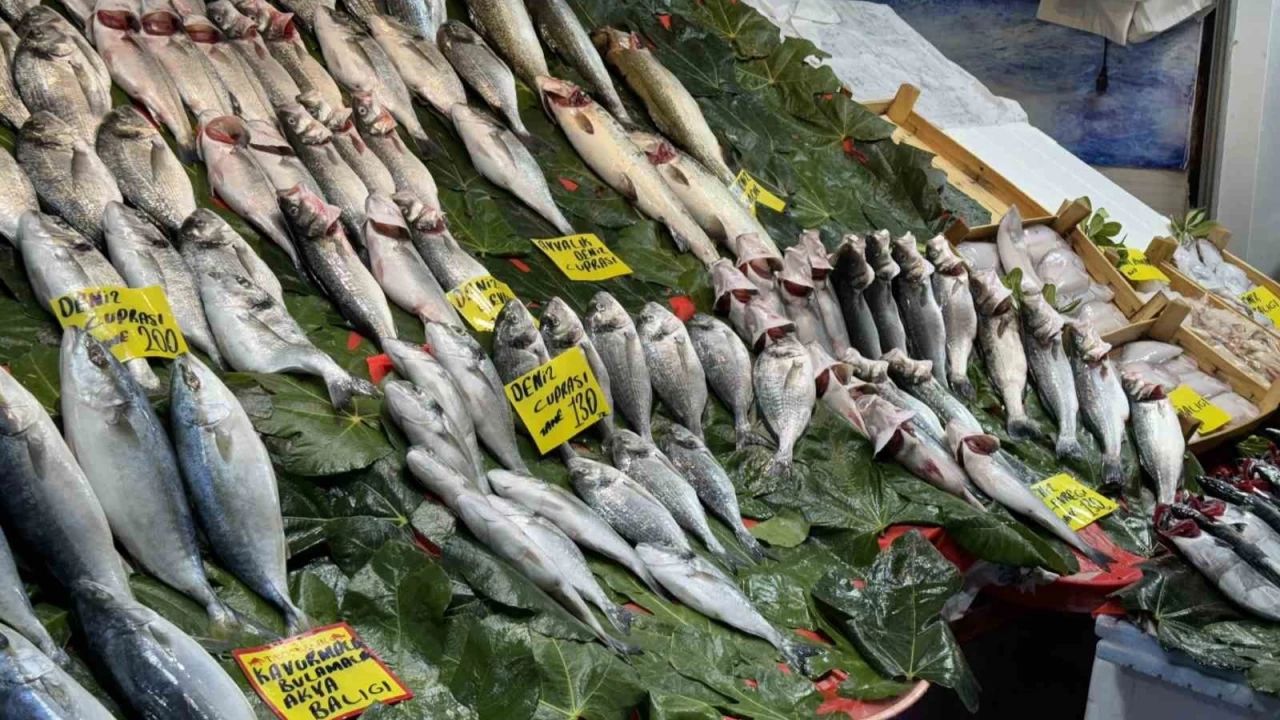 �stanbul'da yeni sezon bal�klar� tezgahlarda 