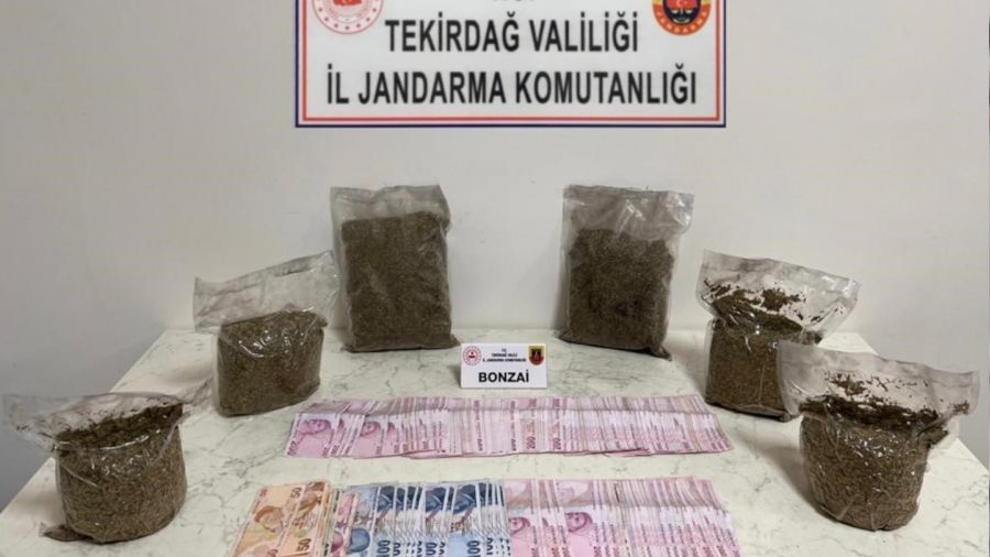 İstanbul'dan gelen 3 kilo bonzai şehre girmeden yakalandı
