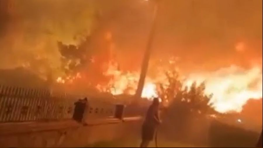 İzmir'de evlere yakın noktada yangın