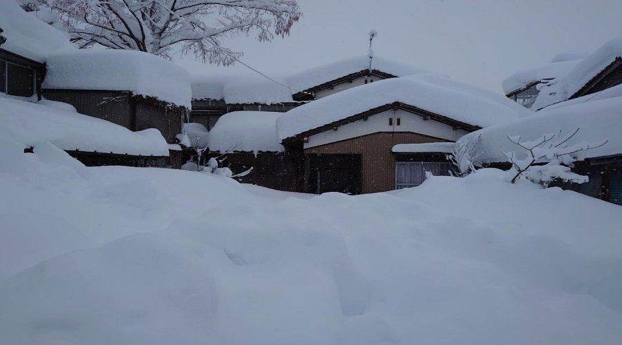 Japonya'ya kar yad