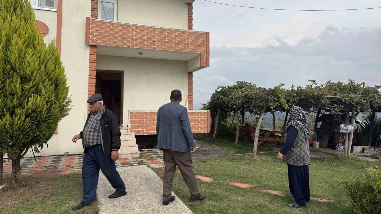 Kahverengi kokarca böceği toruna hasret bıraktı