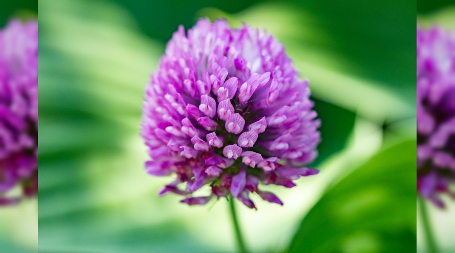 ‘Kalbimin pencerelerini zikrine aç’