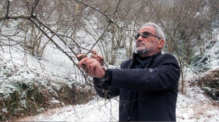 Kar yağışı fındık üreticisini sevindirdi