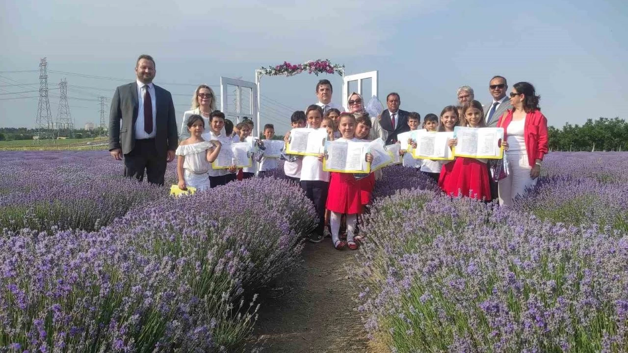 Karnelerini mor tarlada aldılar