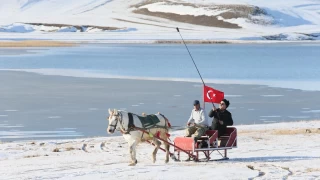 Karsn gizemli ekicilii