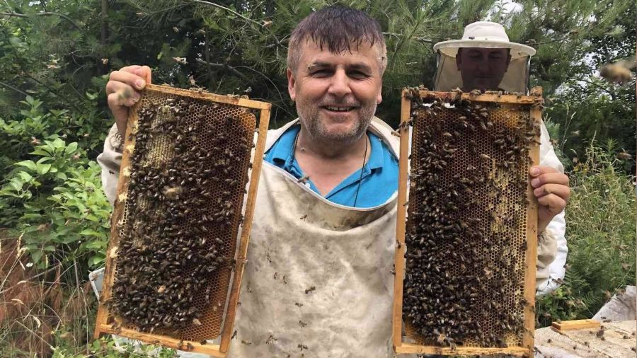 'Kastamonu kestane bal corafi iaret belgesi ald