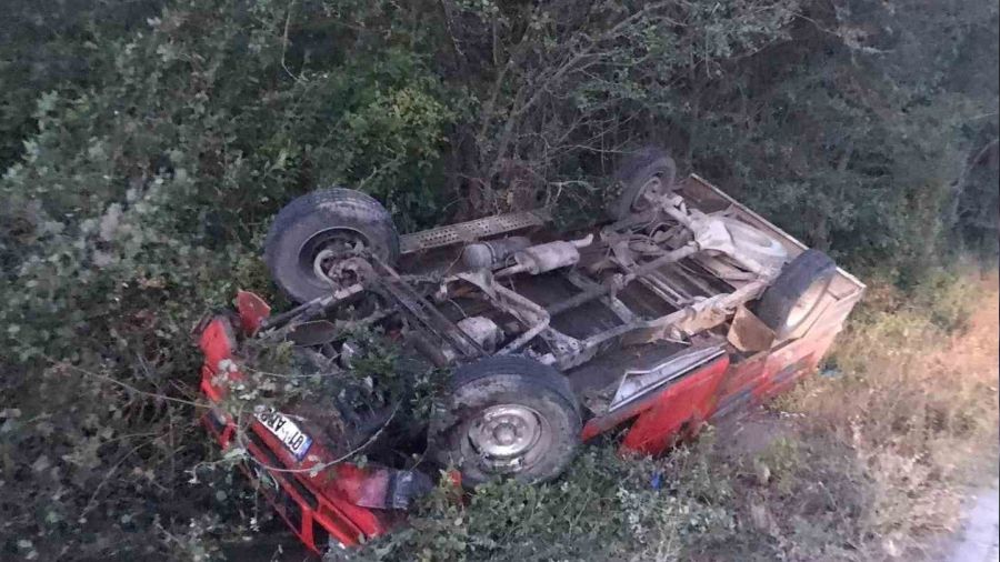 Kastamonu'da yola çıkan ceylana kamyonet çarptı