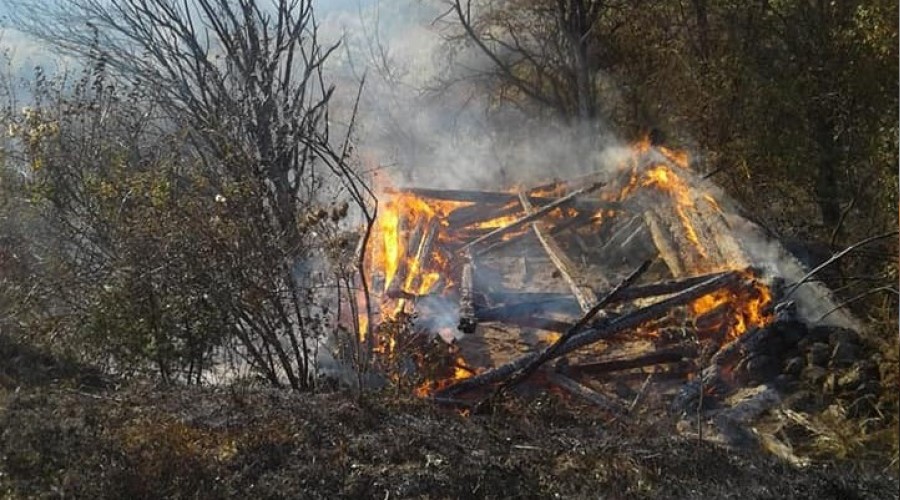 Kastamonu'daki orman yangnlar sndrld