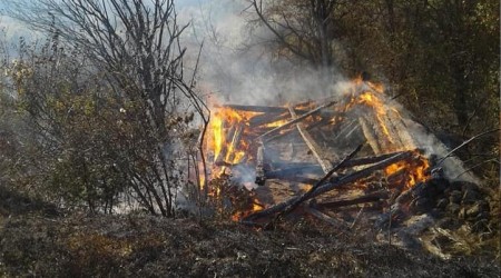 Kastamonu'daki orman yangnlar sndrld