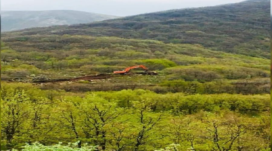 Kayseri Erciyes eteklerindeki tek ormanlk alan yok mu ediliyor?