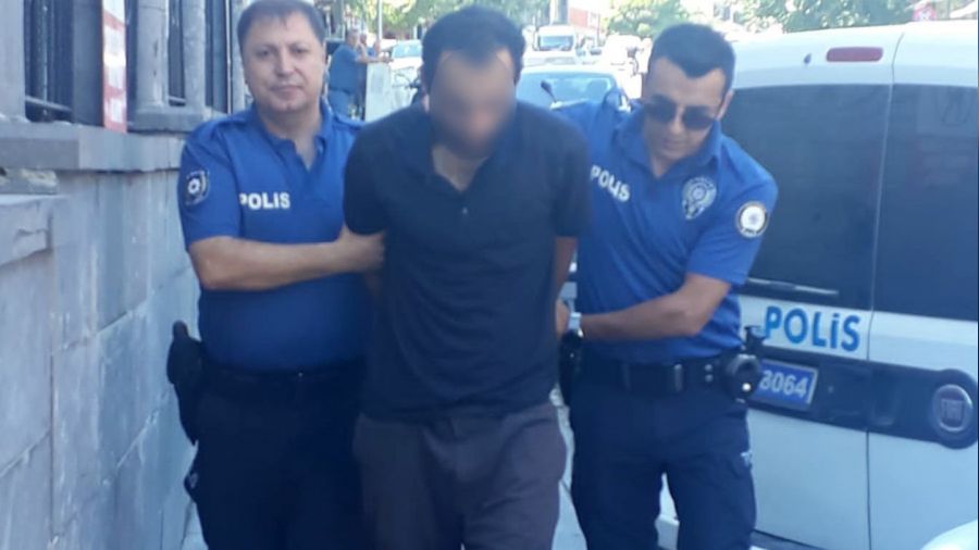 Kedileri bıçaklayarak öldüren şahıs tutuklandı