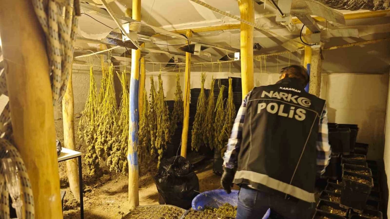Kenevir yetiştirilen gizli seraya baskın
