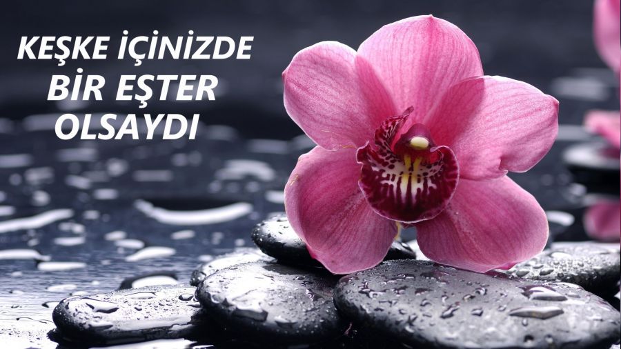 �Ke�ke i�inizde bir E�ter olsayd�� 