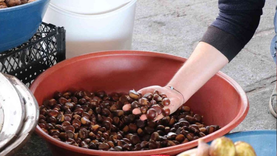 Kestane pazara indi, kilosu 45 TL