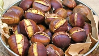 Kestane tam bir şifa kaynağı