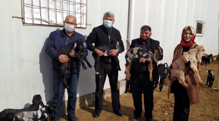 Kilis ke�isi markala��yor