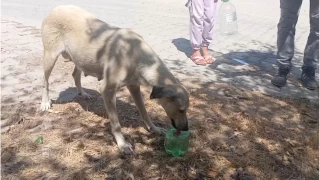 Kilisli çocuklardan örnek davranış
