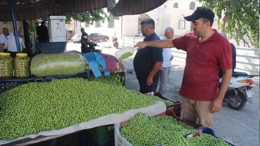 Kilis'te yerli sofralık zeytin tezgahlarda