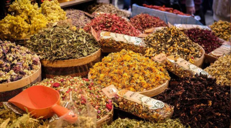 Kış çayına talep arttı, kilosu 300 lira