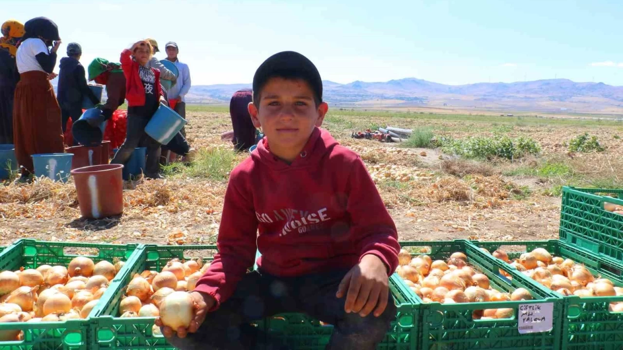 K��l�k so�an�n ilk hasad� ba�lad�