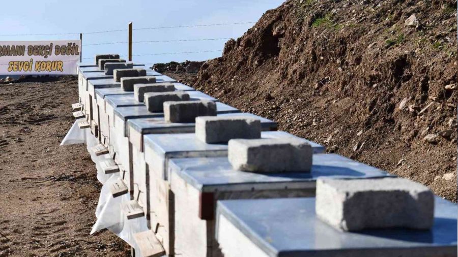 Köyde bal ormanı oluşturuldu