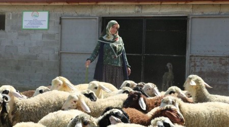 Köyde yaşamak isteyenlere proje desteği