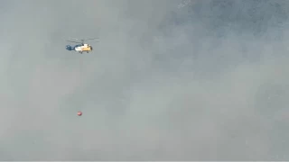 Kozan'daki orman yangn sryor