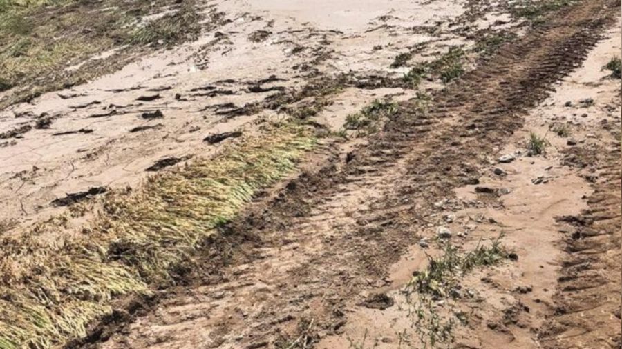 Kulu'da iddetli yalar yaklak 3 bin dekar ekili alana zarar verdi