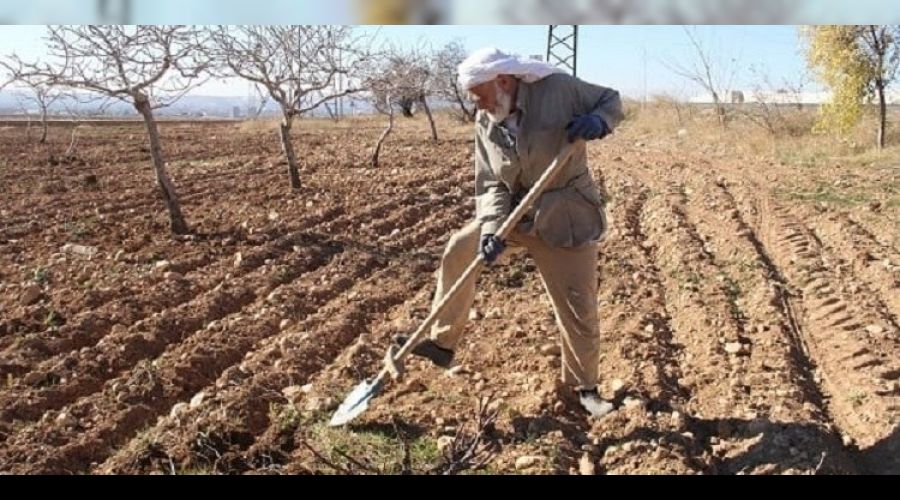 Kurakl�k �ift�ileri kara kara d���nd�r�yor