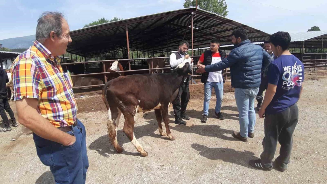 Kurban pazar�nda son y�llar�n en durgun g�nleri ya�an�yor