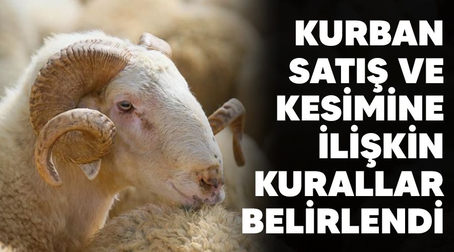 Kurban satış ve kesimine ilişkin kurallar belirlendi