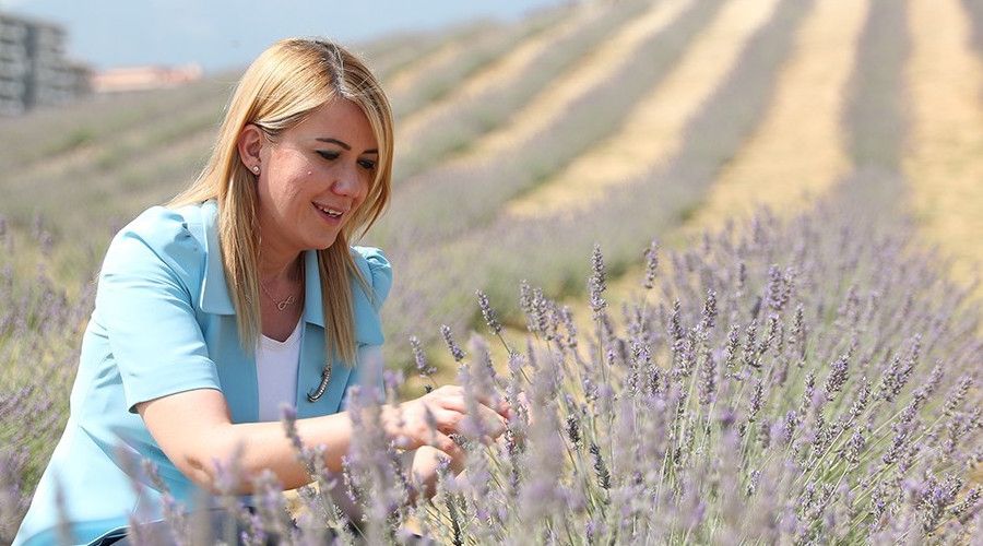 Lavanta bahçesi ziyarete açıldı