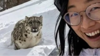 Leoparla selfie �ekmek istedi, �l�mden son anda kurtuldu