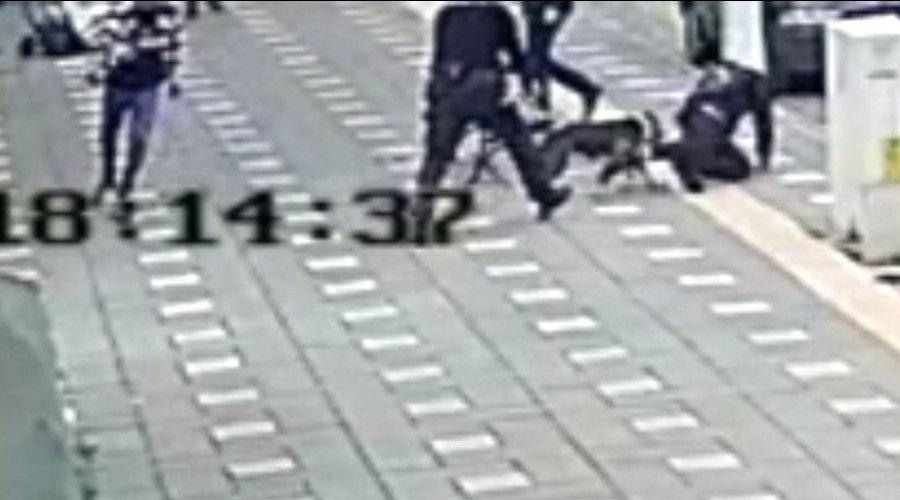 Manisa'da pitbull dehşeti: 2 polis yaralandı