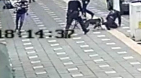 Manisa'da pitbull dehşeti: 2 polis yaralandı