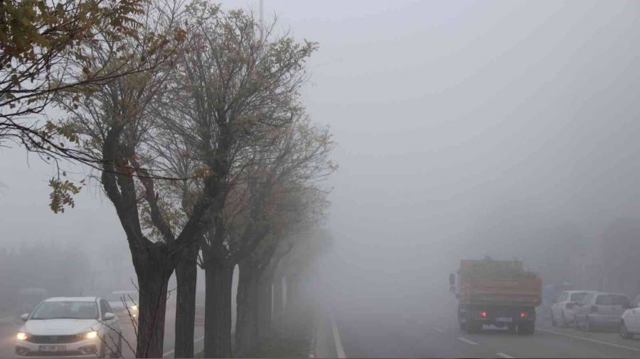 Manisa'da yoğun sis etkili oldu