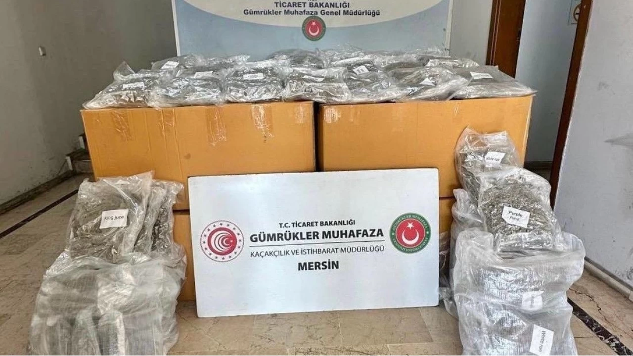 Mersin Liman'nda 587 kilogram esrar ele geirildi