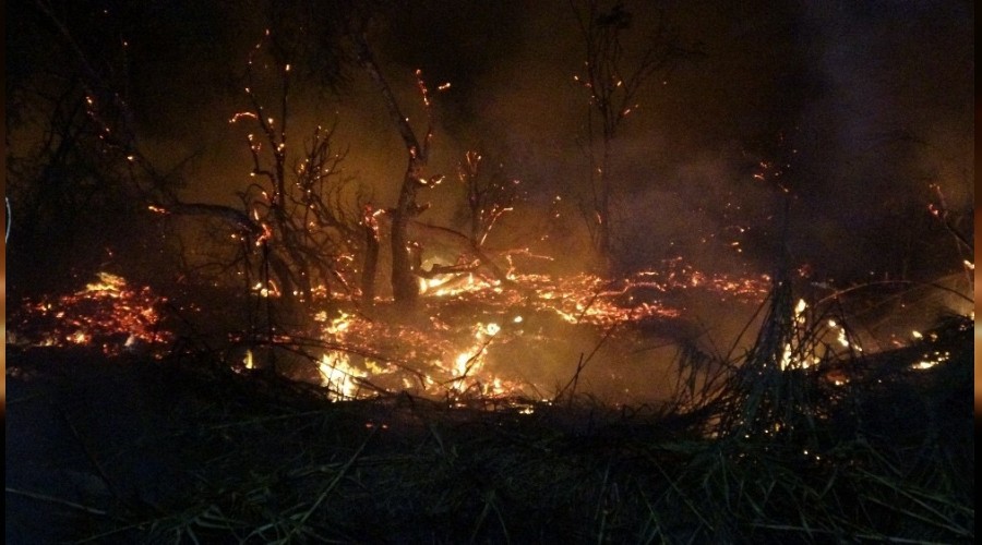 Mersin'de ara�t�rma enstit�s�nde yang�n