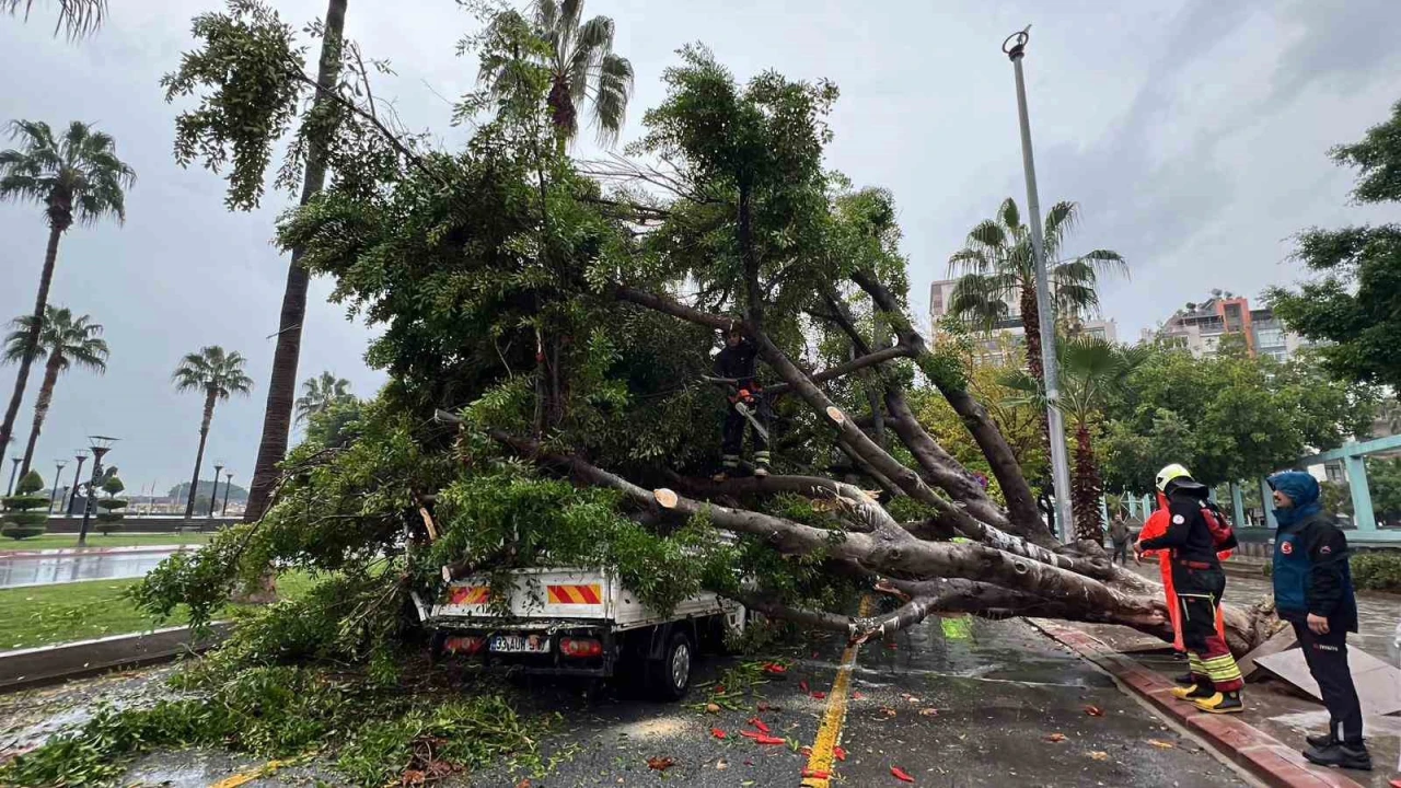 Mersin'de devrilen ağaç, seyir halindeki 3 araca zarar verdi