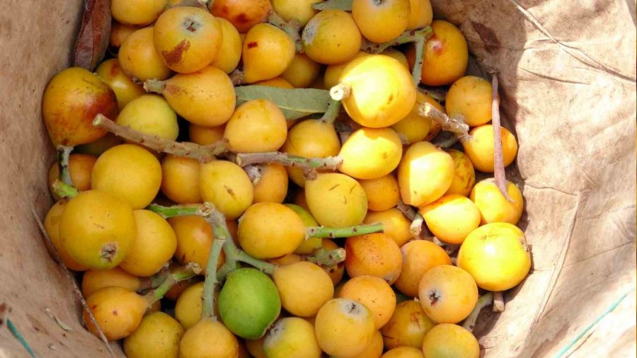 Mersin'de yenid�nya hasad� ba�lad�