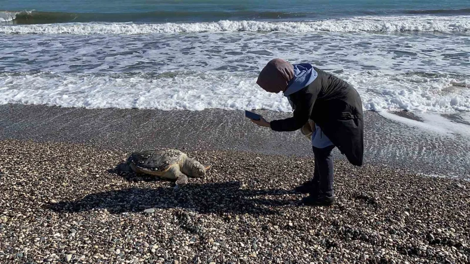 Mersin'de 15 g�nde 7'inci �l�m