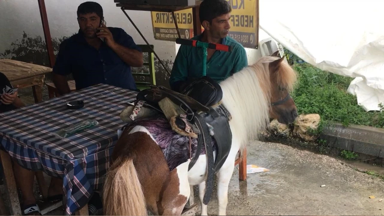 Mersin'in yaylalarında yağmur bereketi