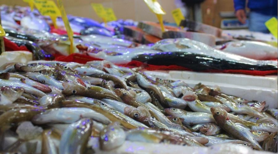 Mezgit 10 TL'lik fiyat�yla tezgahlar�n fenomeni