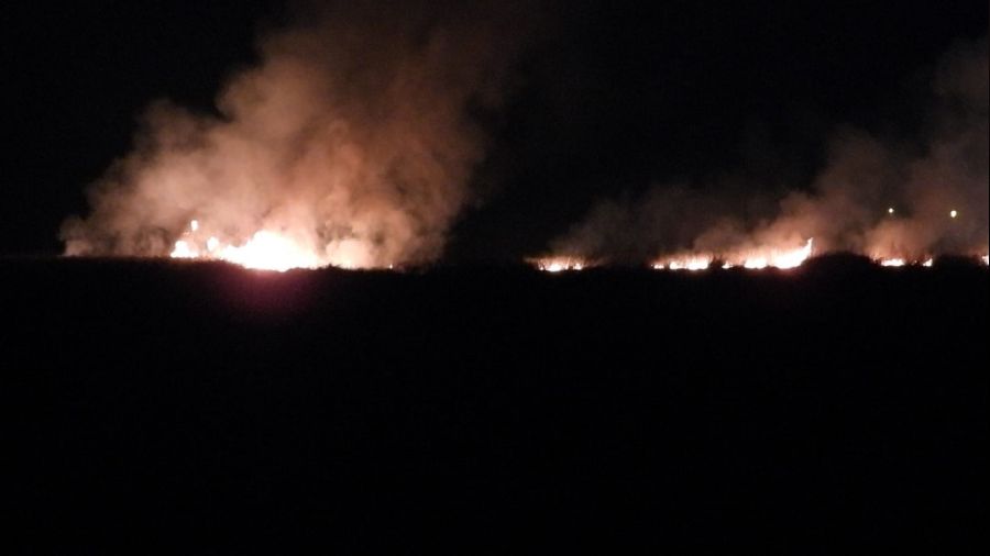 Milleyha Kuş Cenneti'nde yangın çıktı