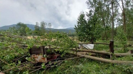 Nallıhan'ı sel etkisi altına aldı