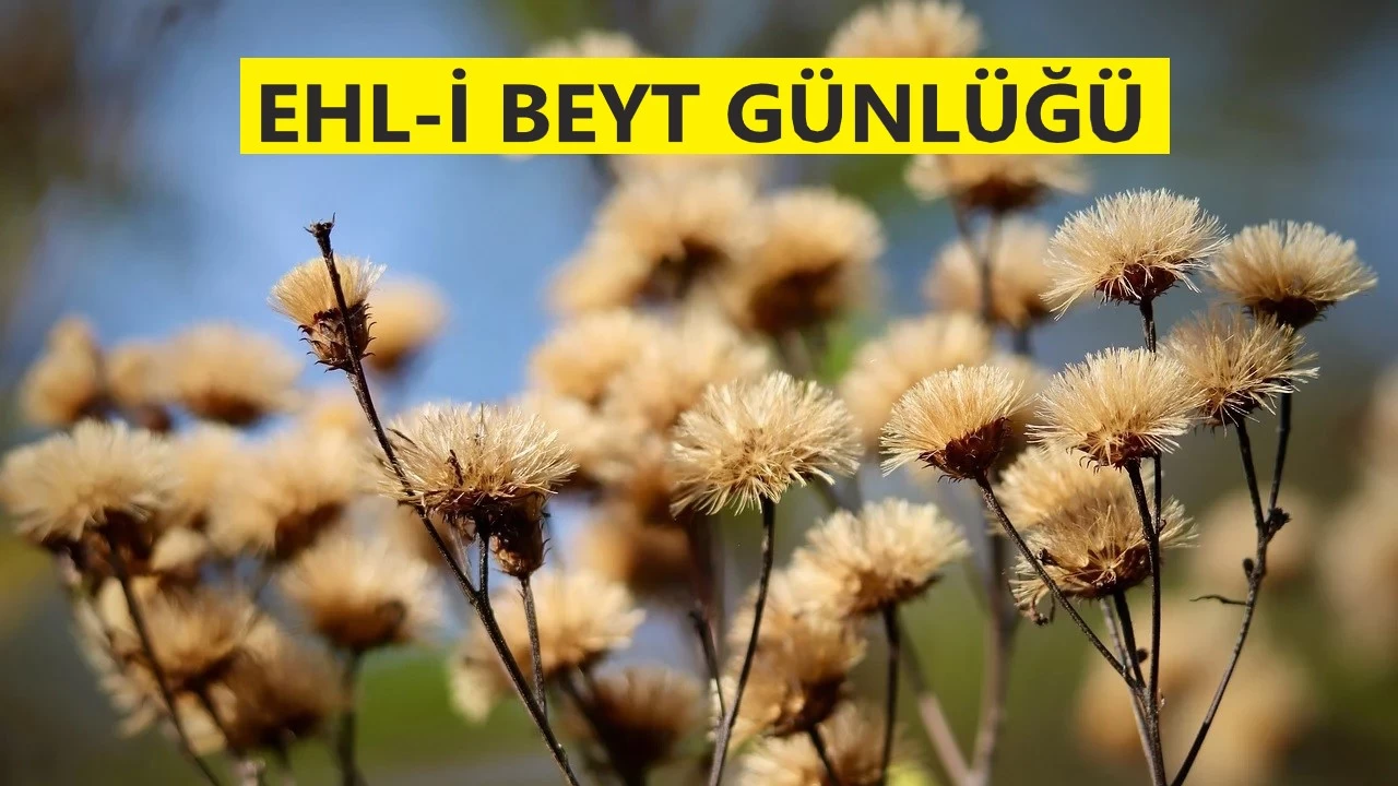 Onları birleştiren dünyaya bağlılıkları
